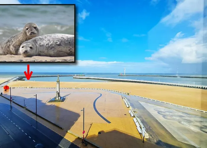 Maui - Zeezichtappartement Te Oostende