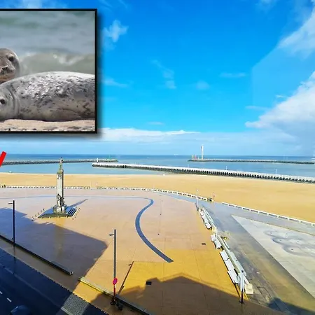 Maui - Zeezichtappartement Te 奥斯滕德